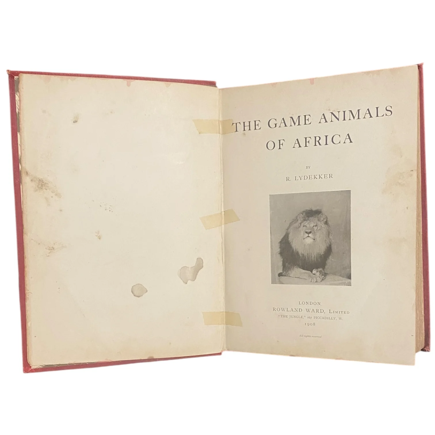 The Game Animals of Africa - Image 4