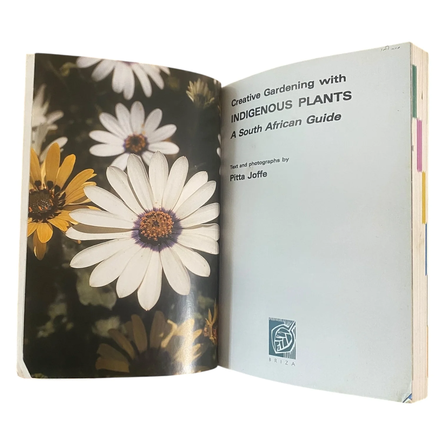 Creative Gardening with Indigenous Plants: A South African Guide - Image 3