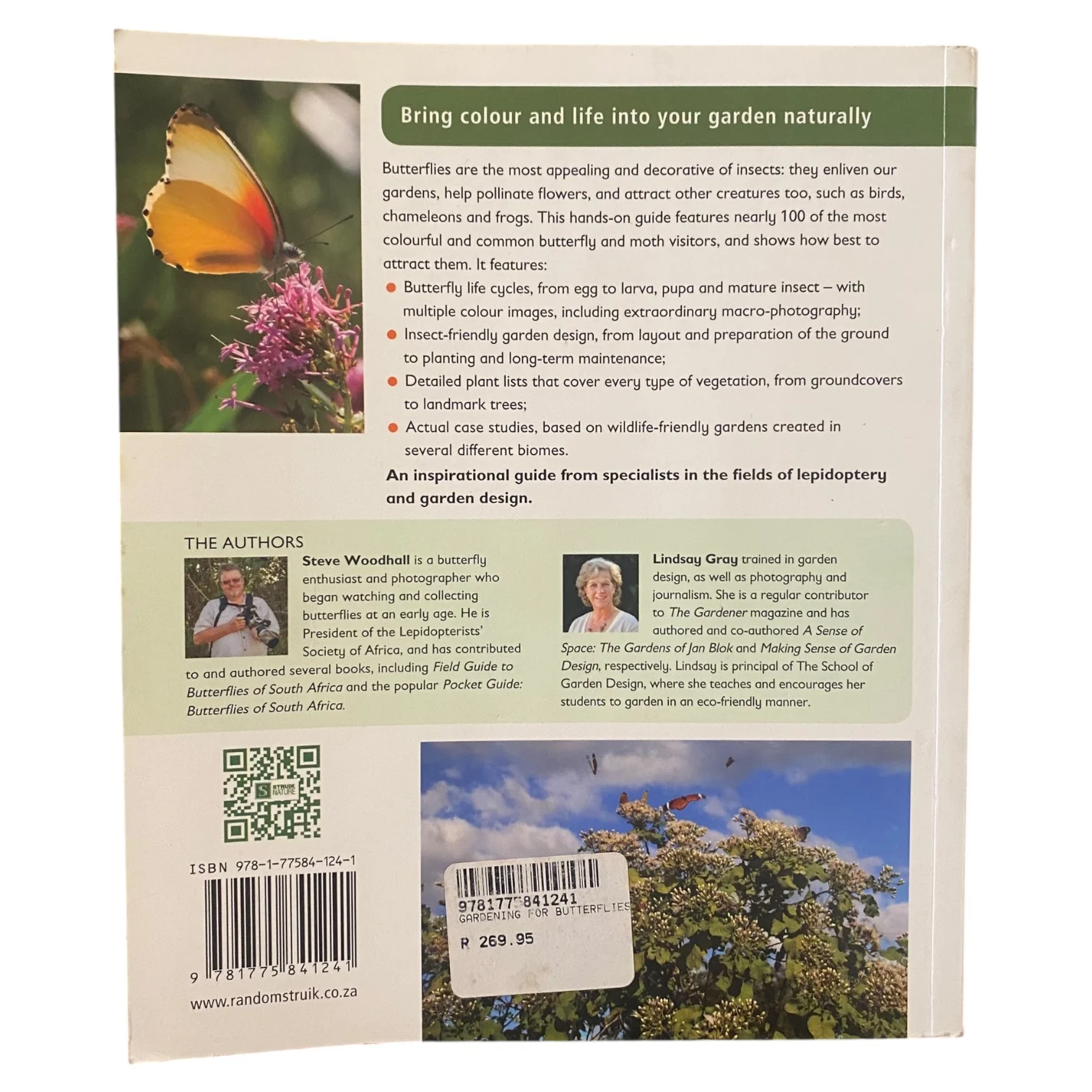 Gardening for Butterflies - Image 3