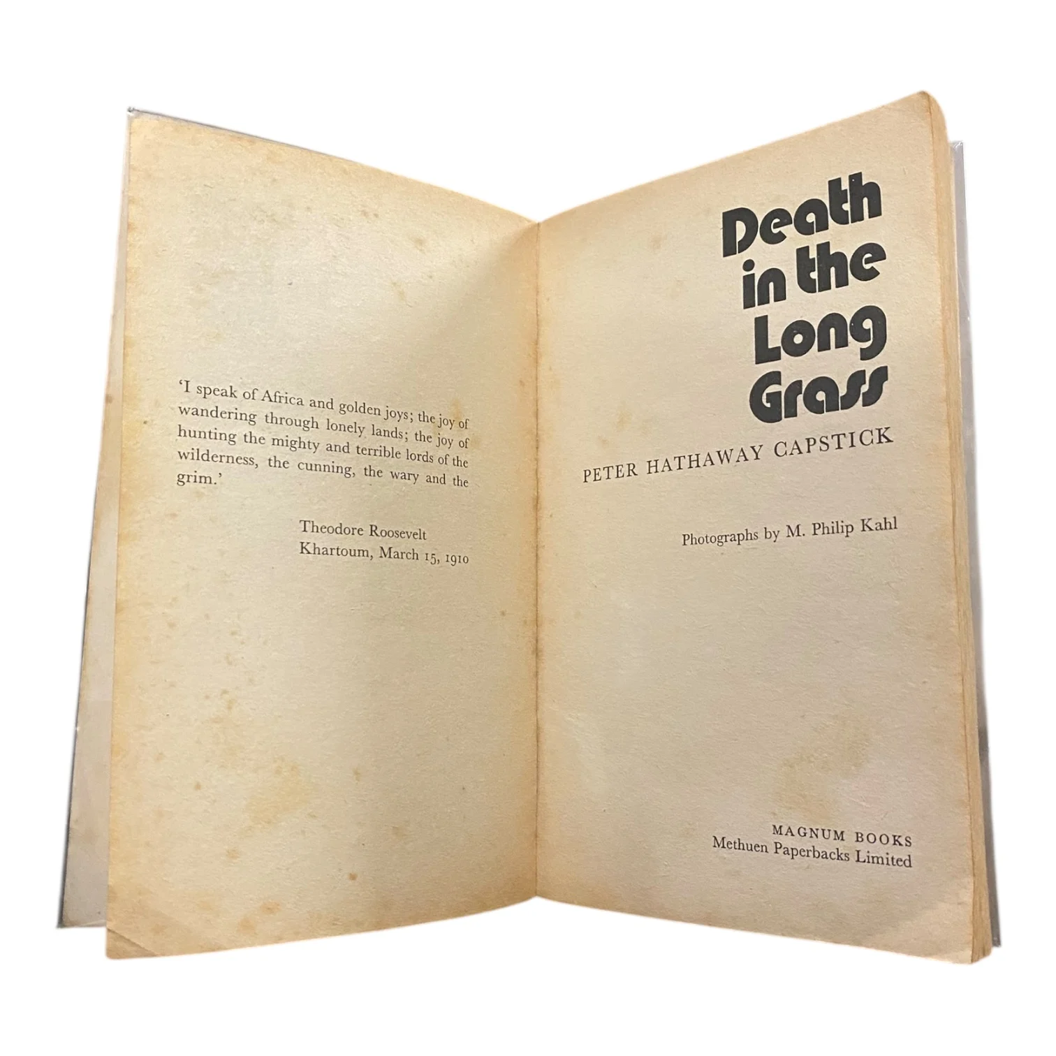 Death in the Long Grass - Image 3