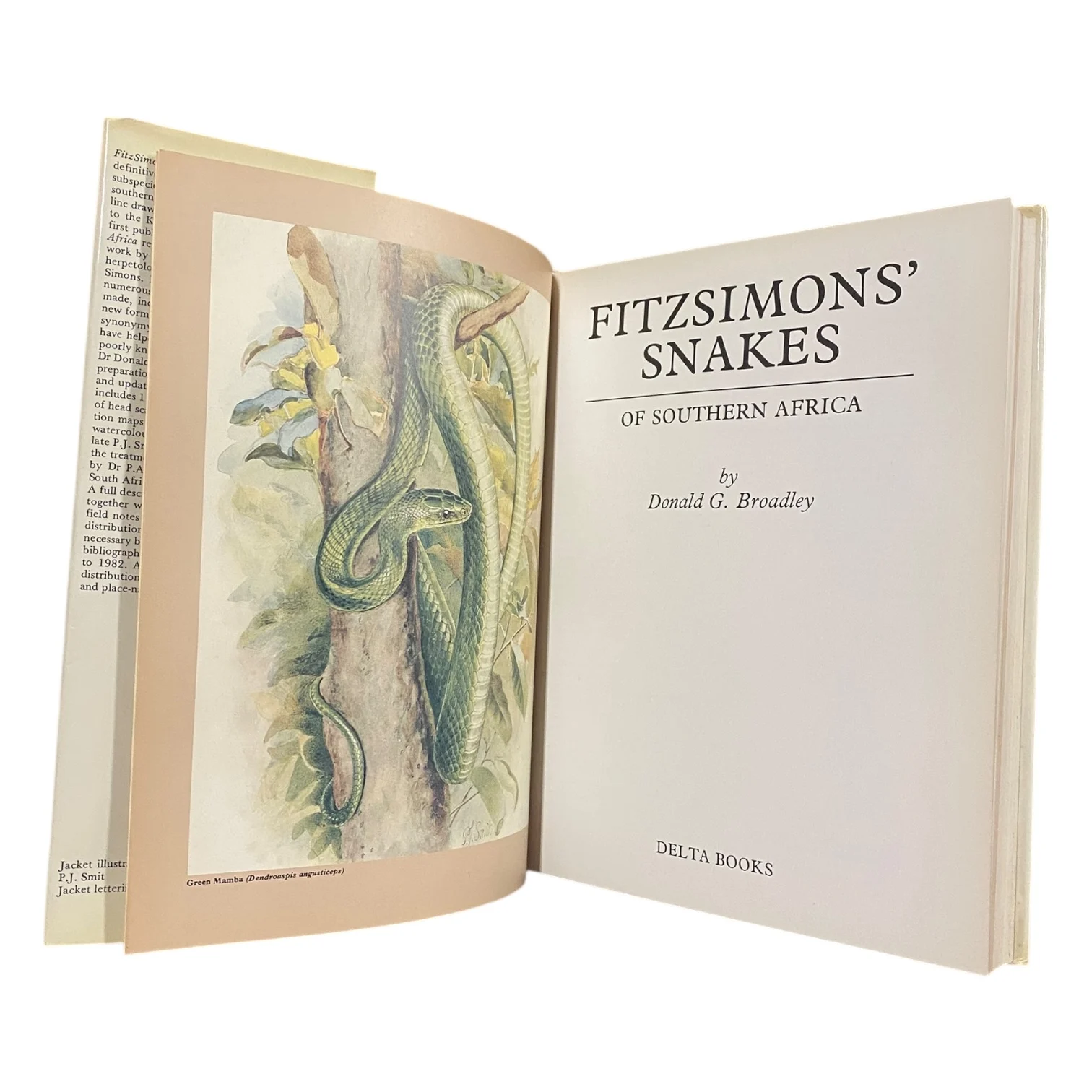 Fitzimons' Snakes of Southern Africa - Image 3