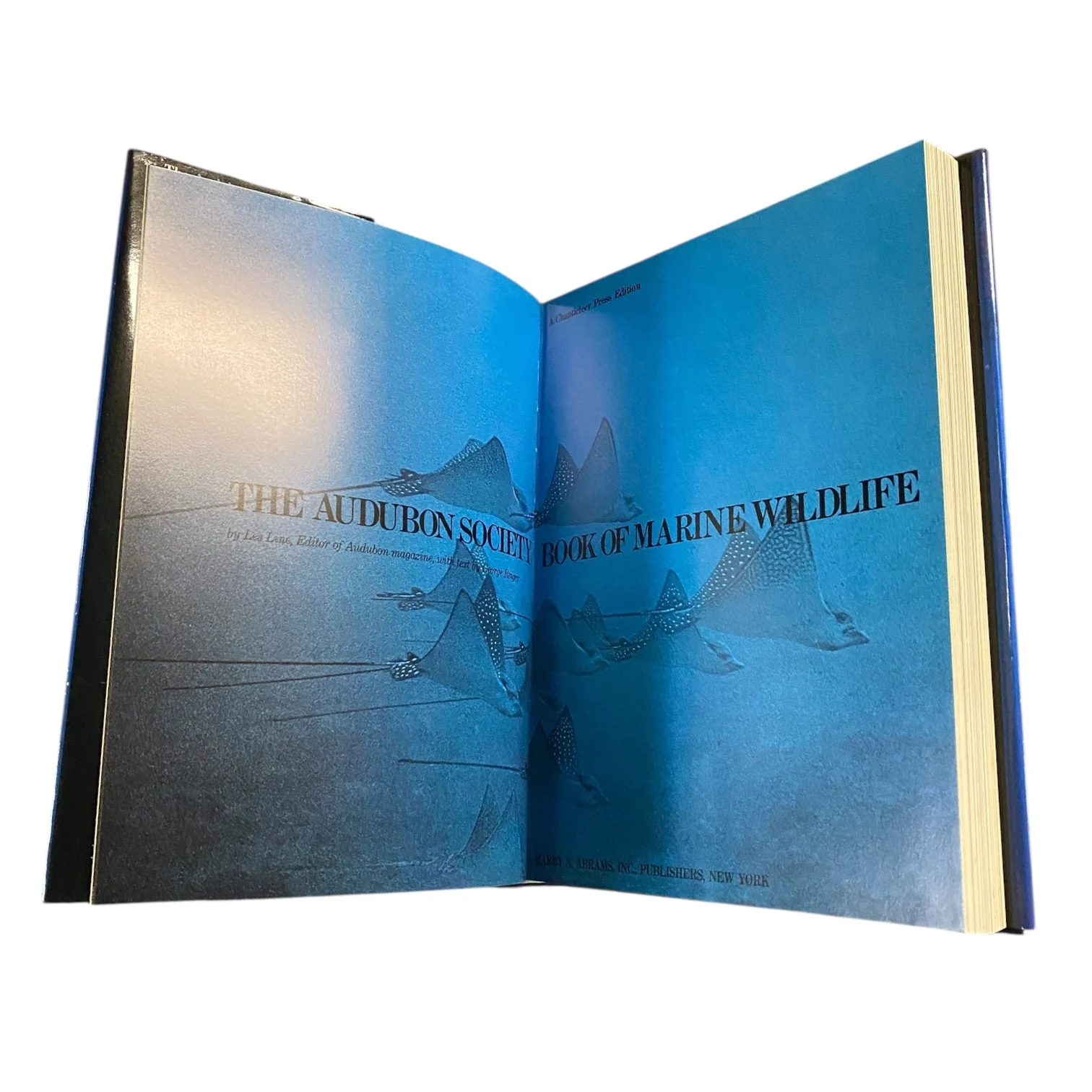 The Audubon Society Book of Marine Wildlife - Image 3