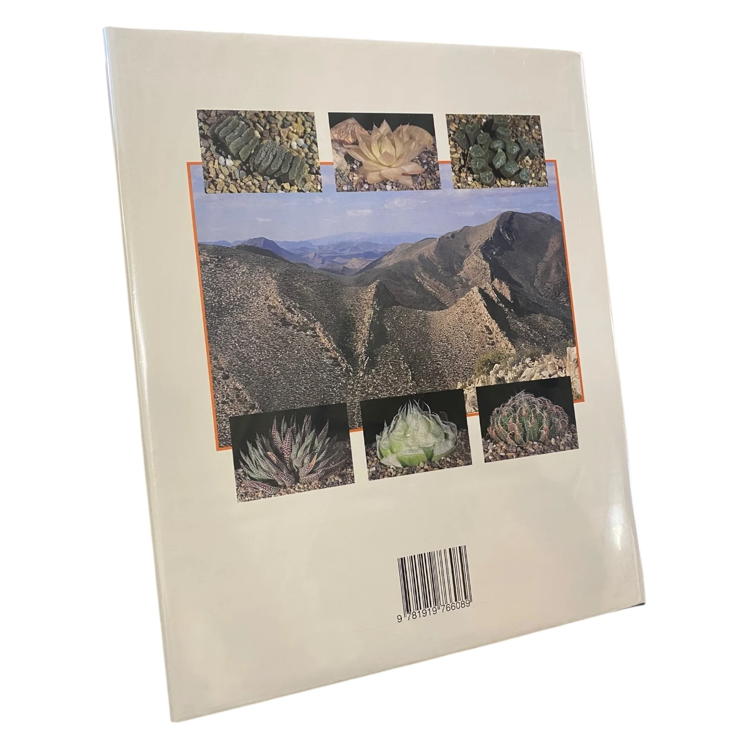 Haworthia Revisited - A Revision of the Genus - Image 3