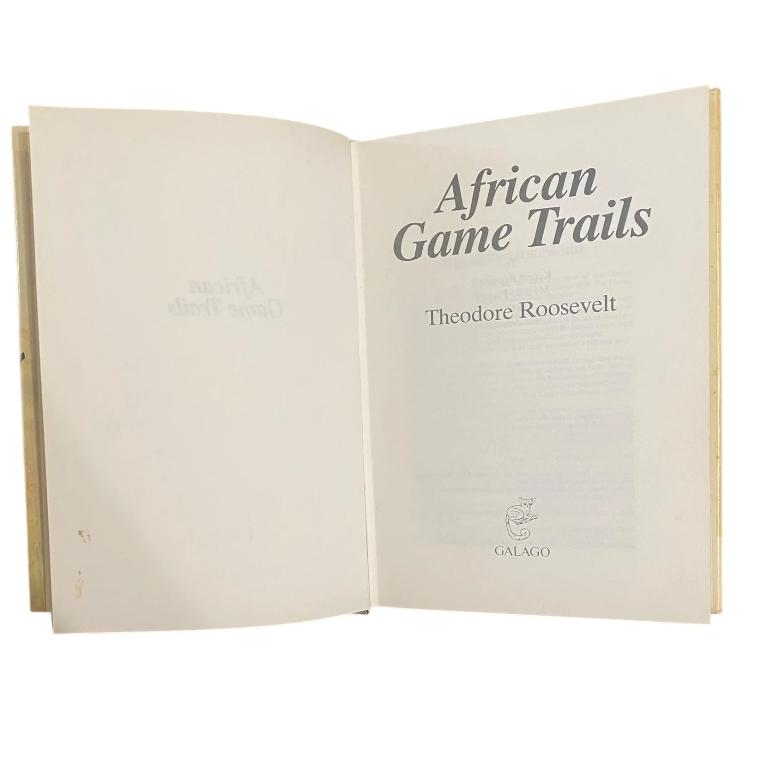 African Game Trails - Image 4