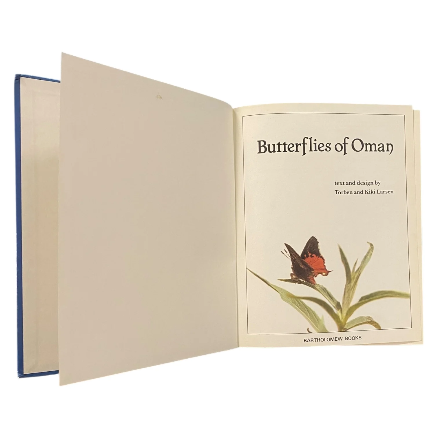 Butterflies of Oman - Image 4