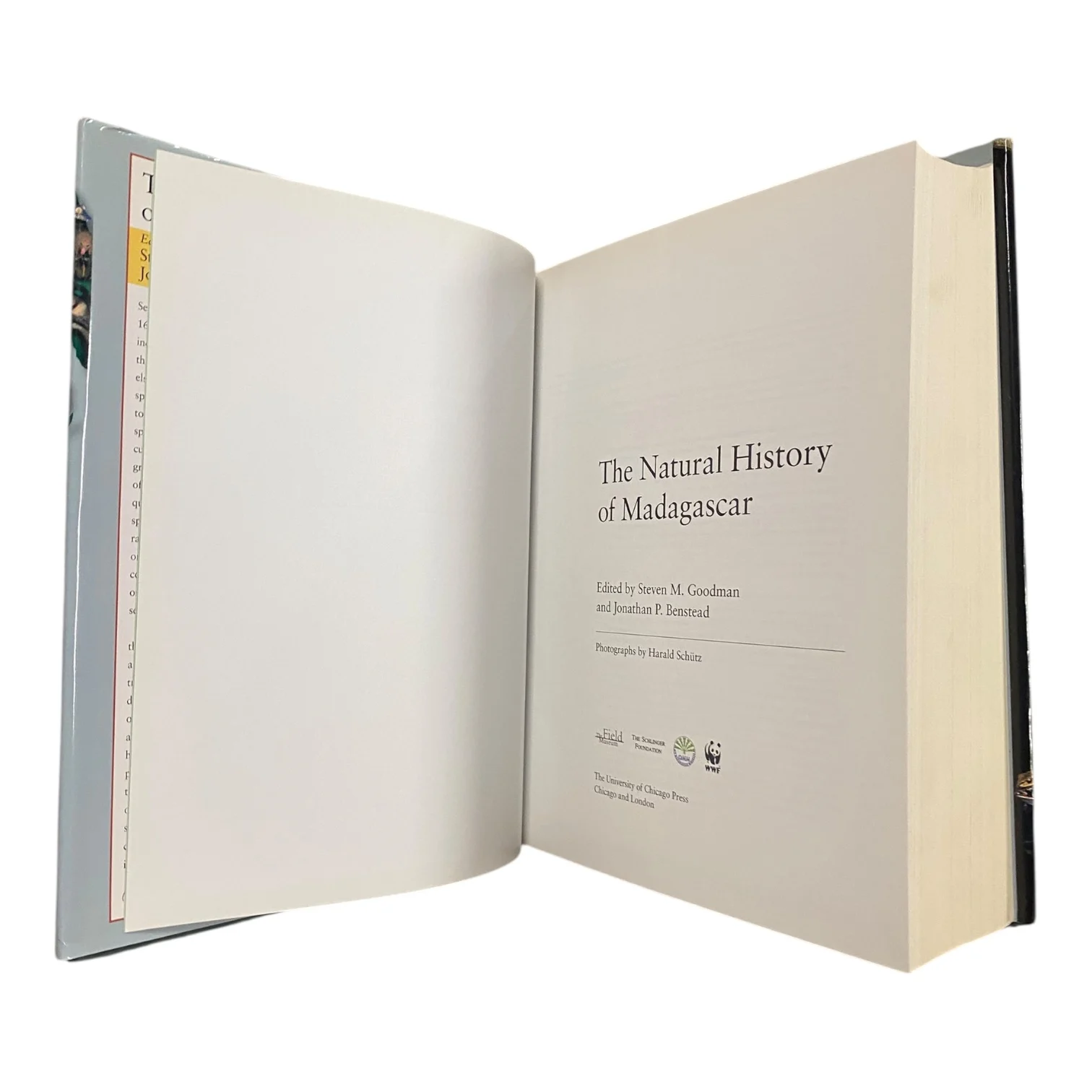The Natural History of Madagascar - Image 4