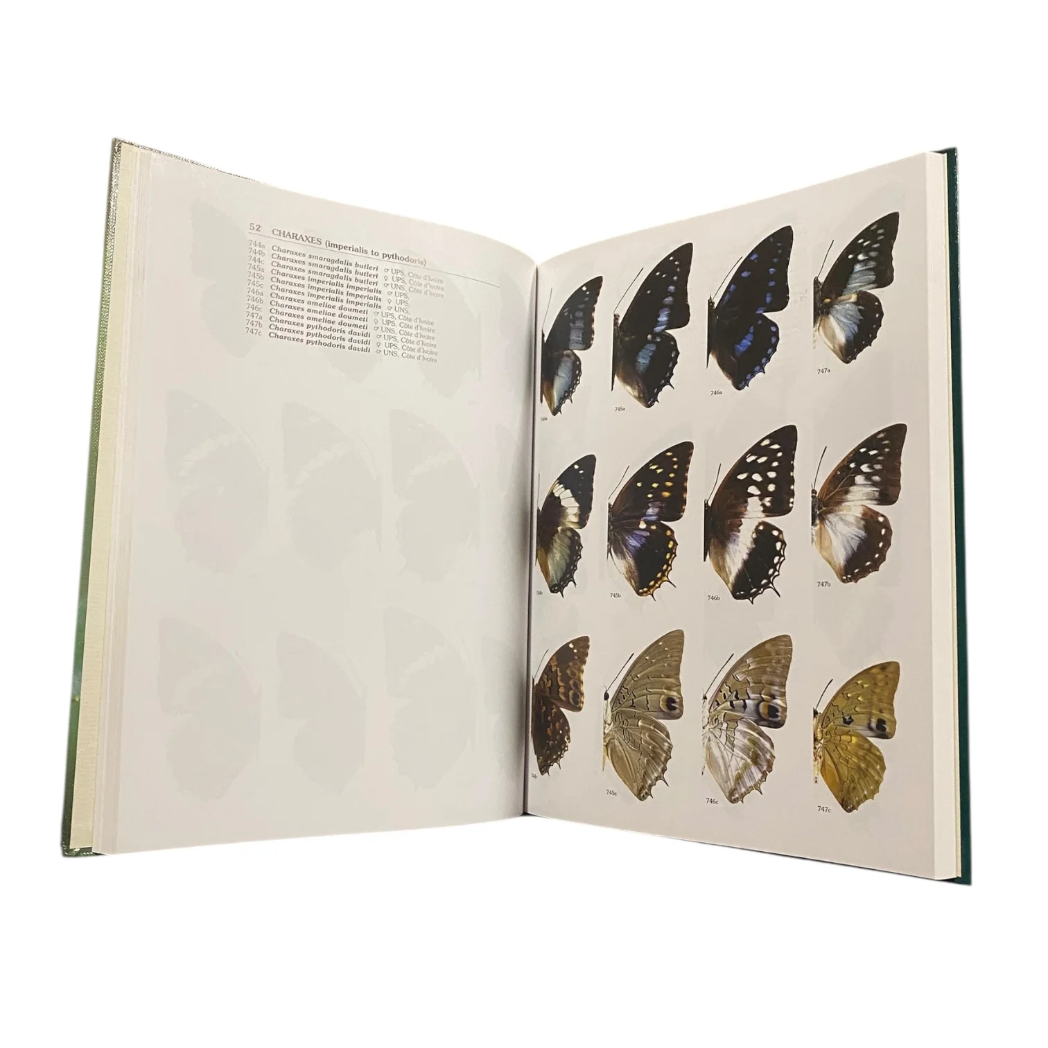 Butterflies Of West Africa Text Volume and Plate Volume Set - Image 5