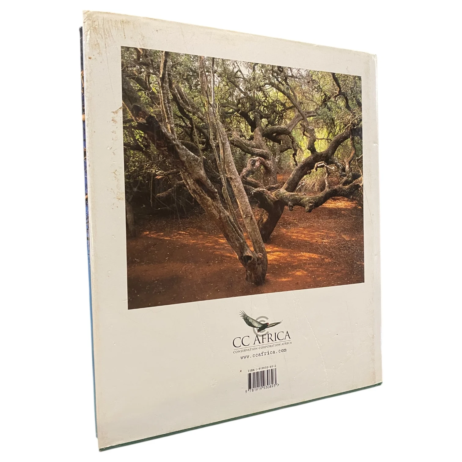 Trees of CC Africa: A Photographic Exploration - Image 2