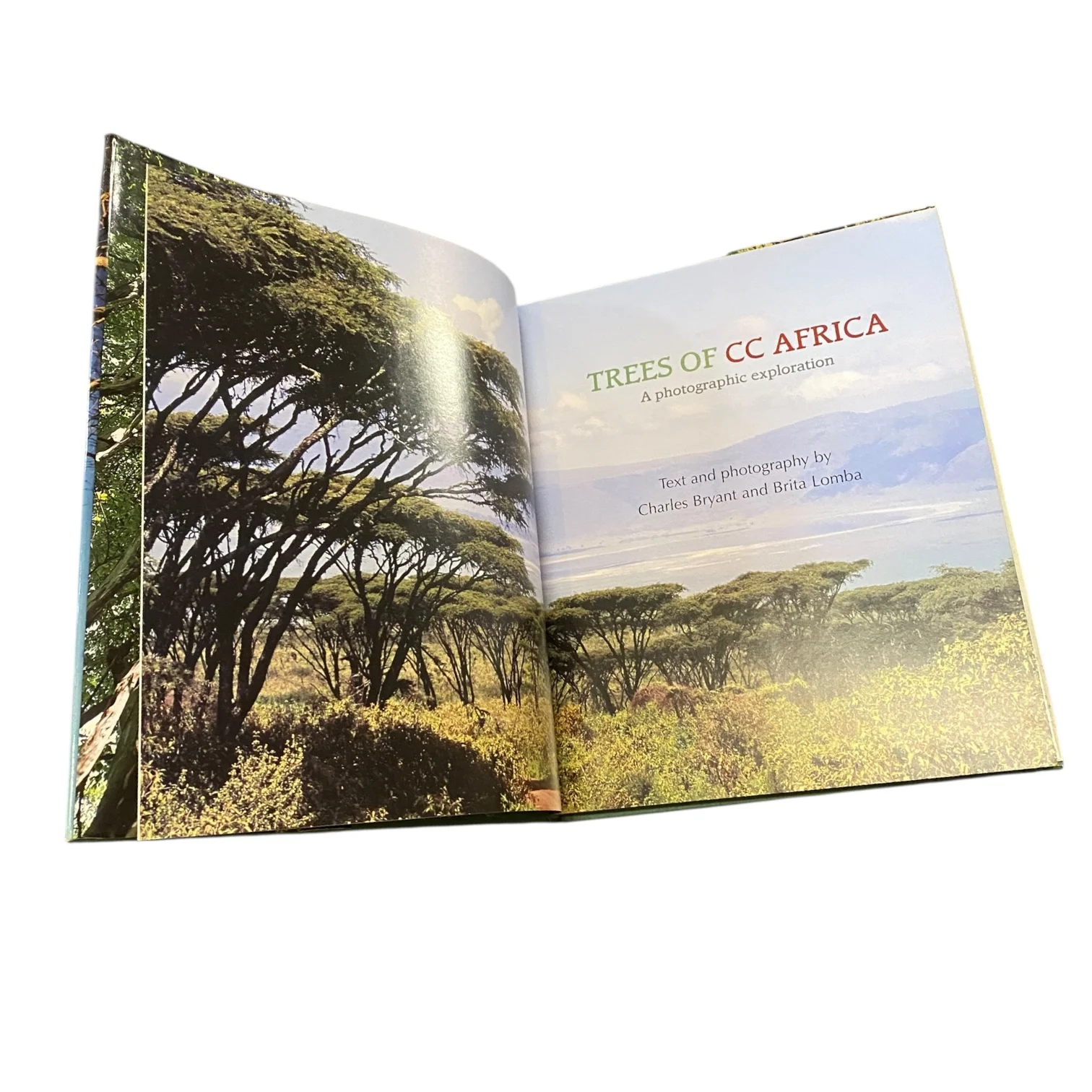 Trees of CC Africa: A Photographic Exploration - Image 3