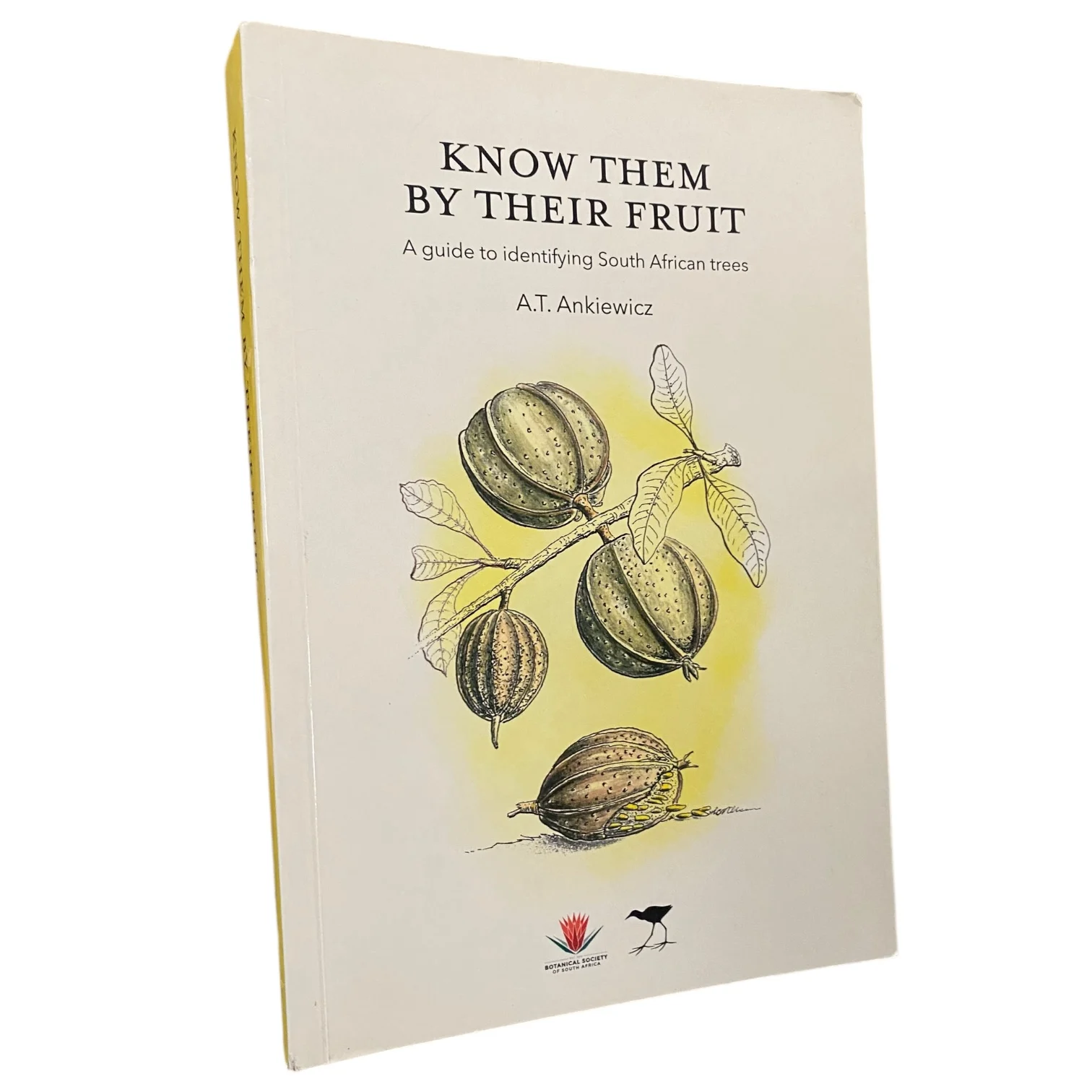 Know Them By Their Fruit