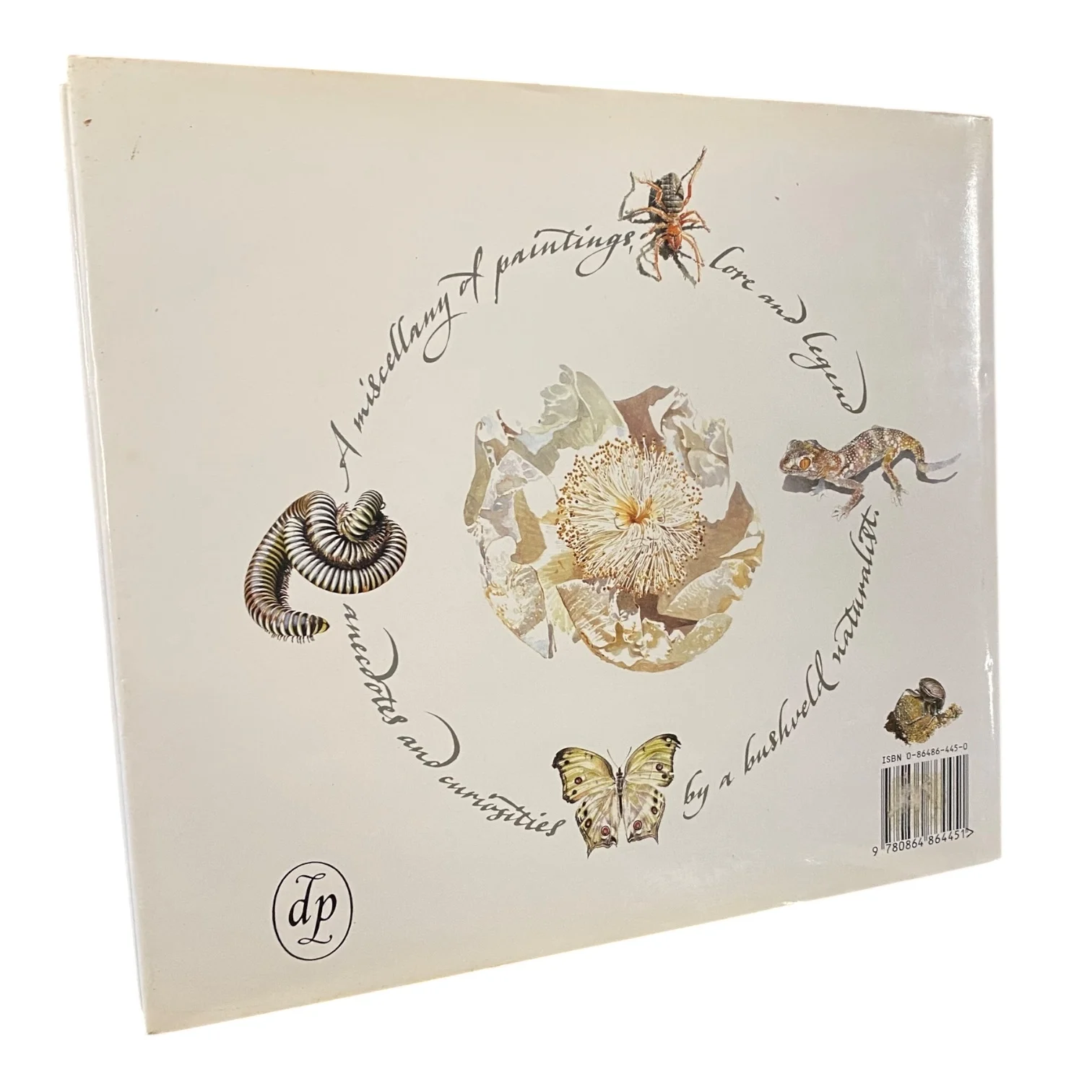 Lulu Phezulu: Leigh Voigt's African Album - Image 3
