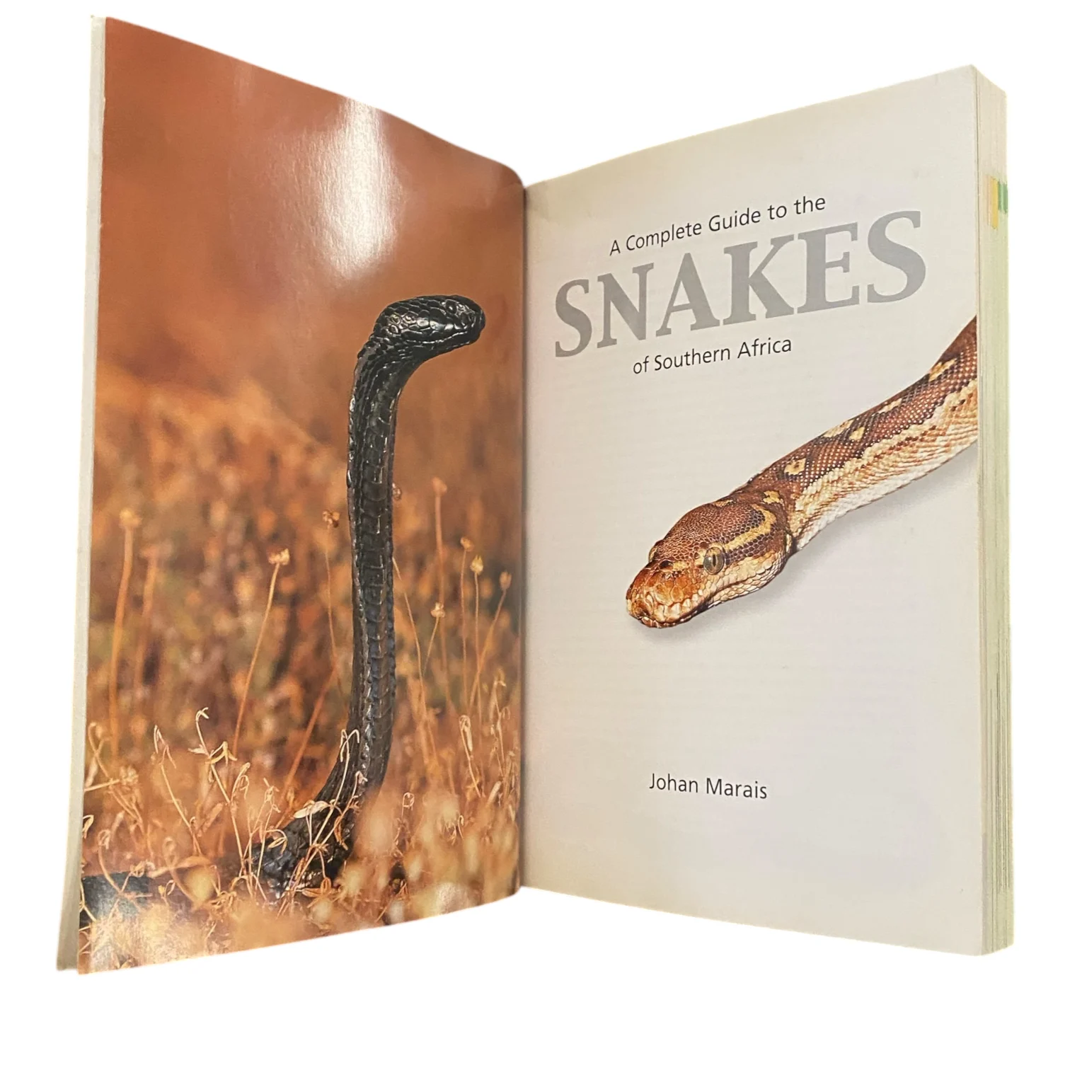 A Complete Guide to the Snakes of Southern Africa - Image 2