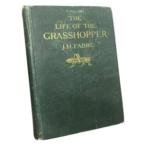The Life of the Grasshopper