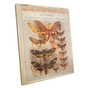 Moths of Southern Africa