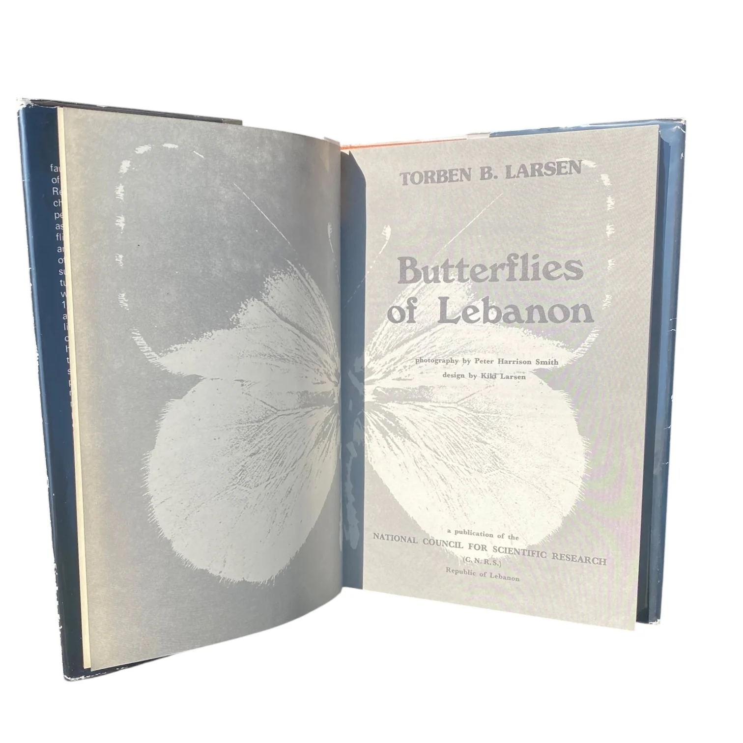 Butterflies of Lebanon - Image 3