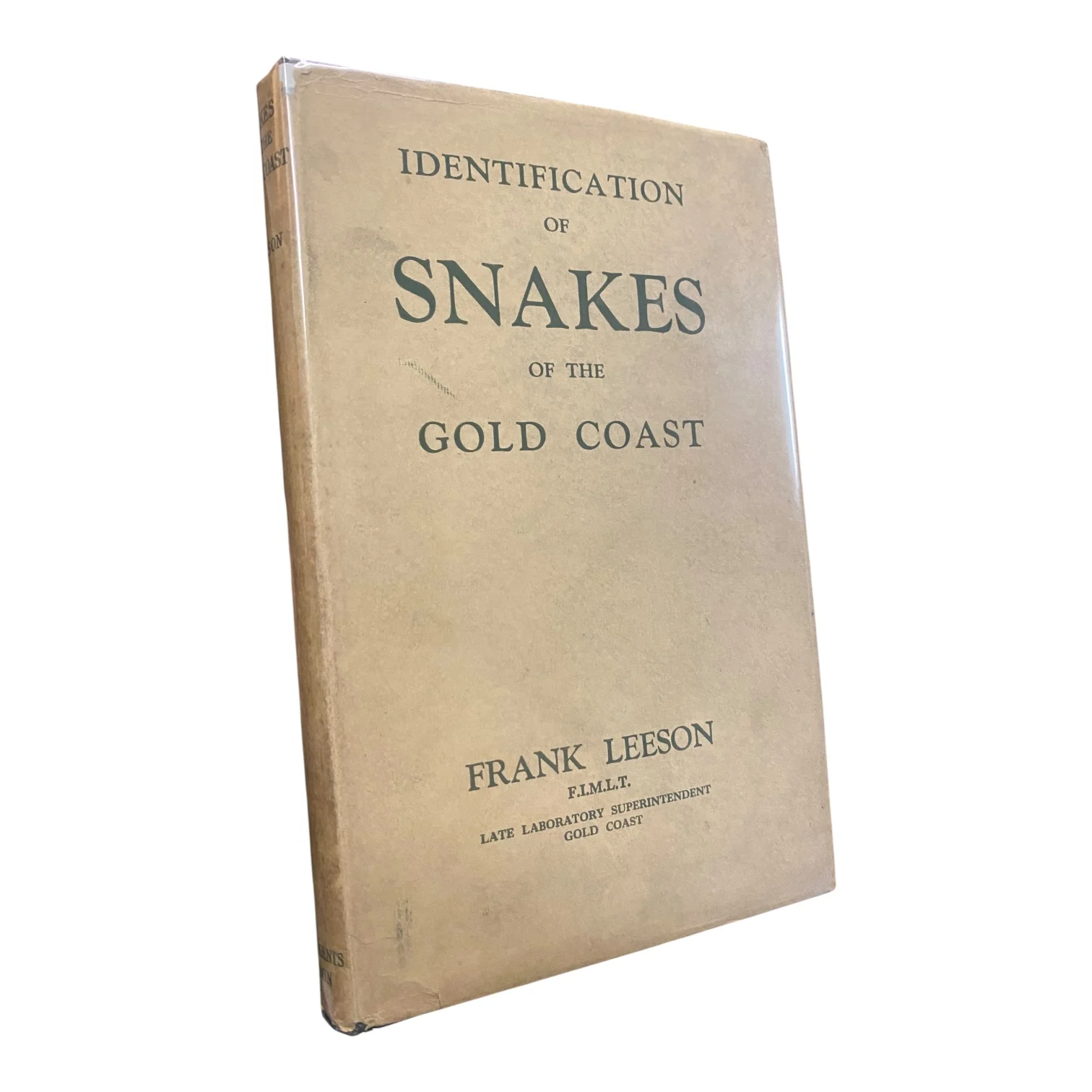 Identification of Snakes of the Gold Coast