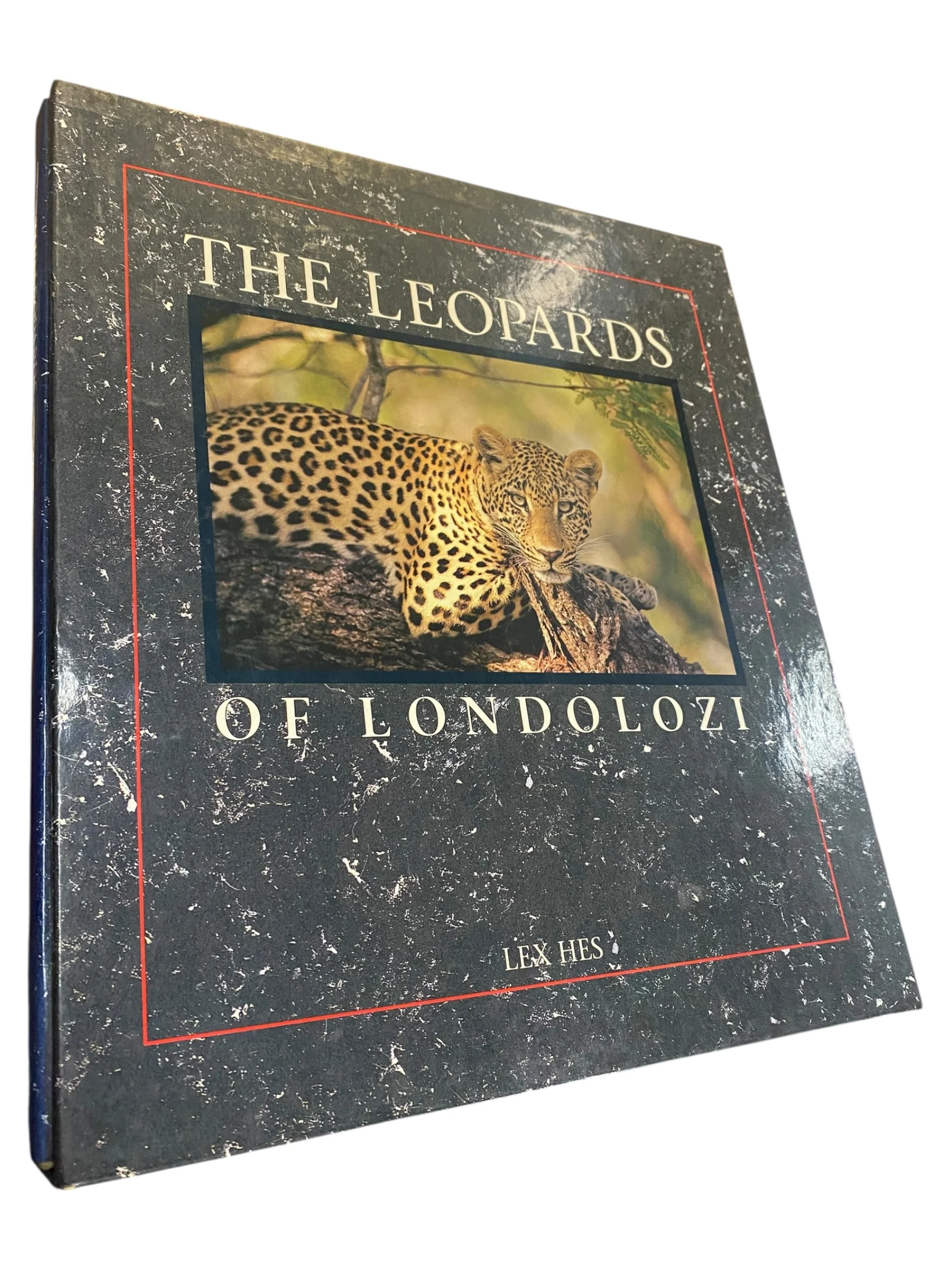 The Leopards of Londolozi