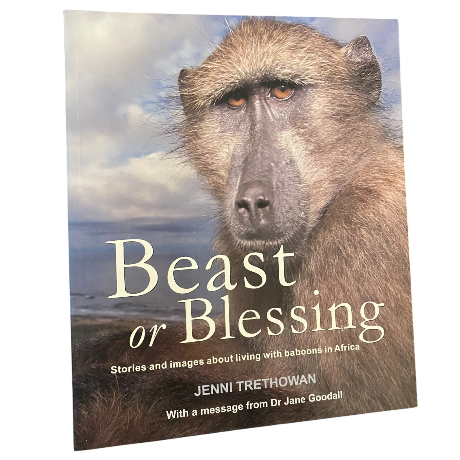 Beast or Blessing