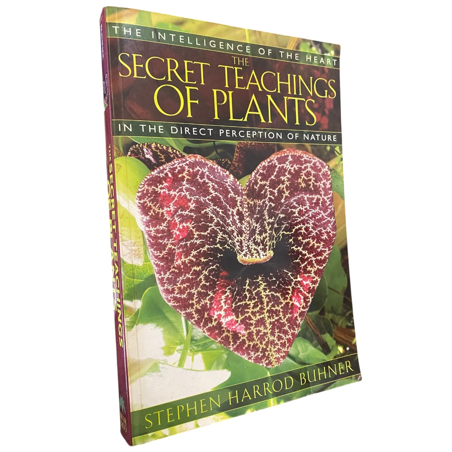 Secret Teachings Of Plants
