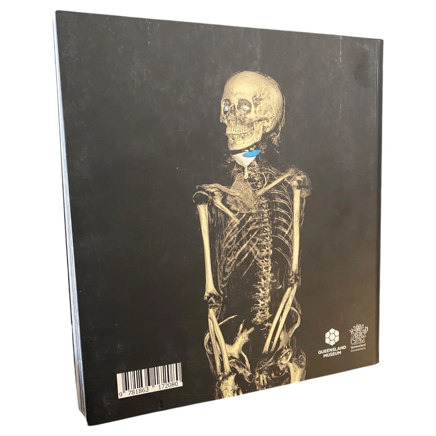 Egyptian Mummies: Exploring Ancient Lives - Image 3