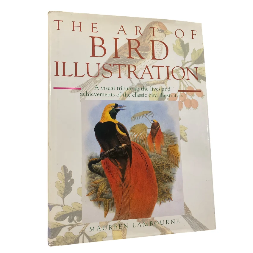 Art of Bird Illustration