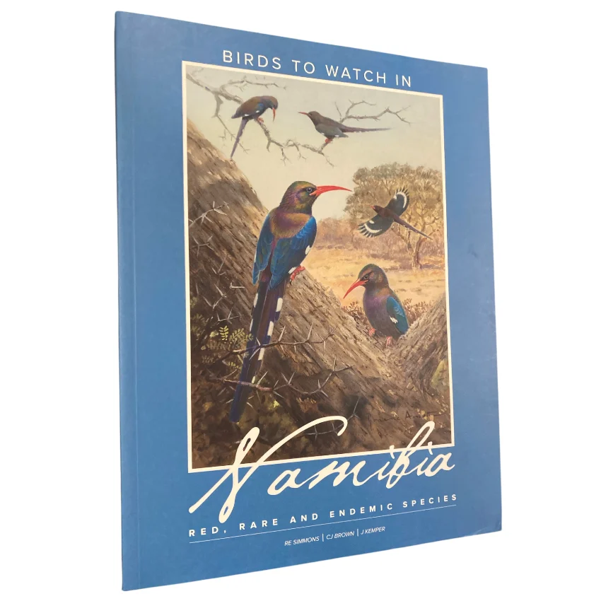 Birds to Watch in Namibia