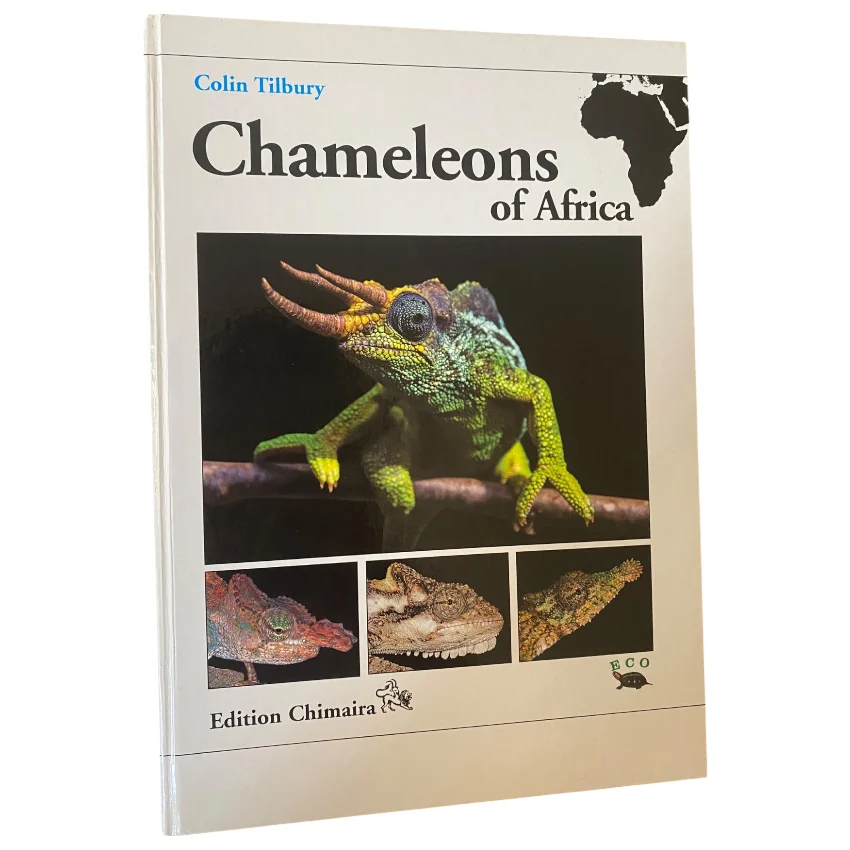 Chameleons of Africa