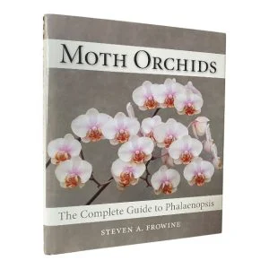Moth Orchids