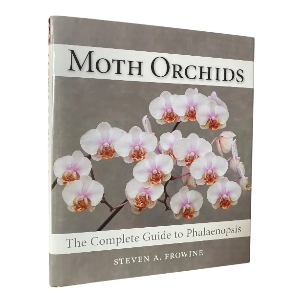 Moth Orchids
