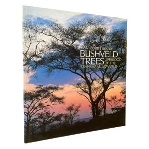 Bushveld Trees