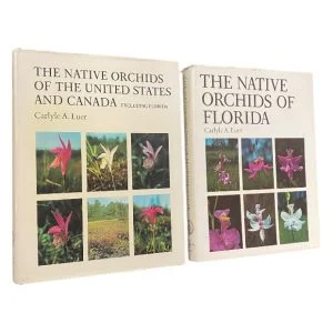 Native Orchids Of Florida