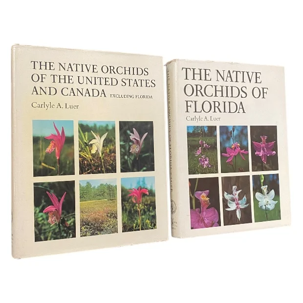 Native Orchids Of Florida