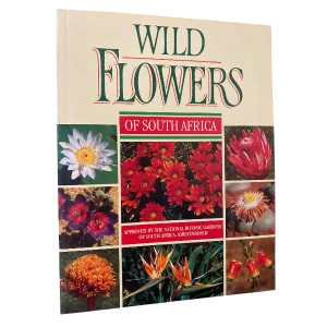 Wild Flowers Of South Africa