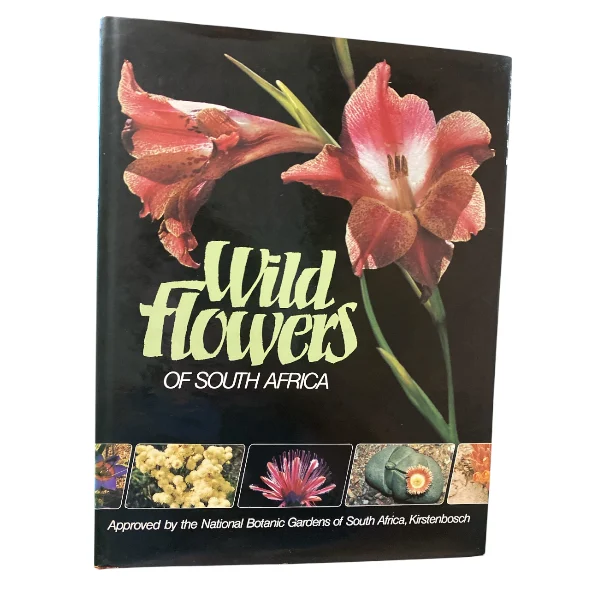 Wild Flowers Of South Africa