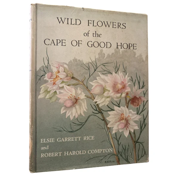 Wild Flowers Of The Cape Of Good Hope