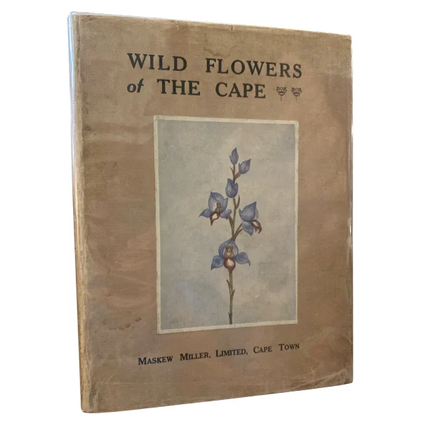 Wild Flowers Of The Cape; A Floral Year