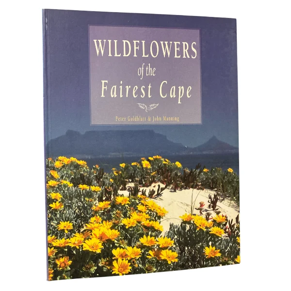 Wildflowers Of The Fairest Cape