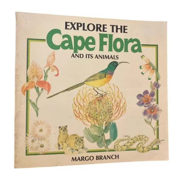Explore The Cape Flora And Its Animals