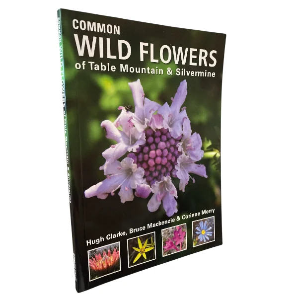 Common Wild Flowers of the Table Mountain & Silvermine