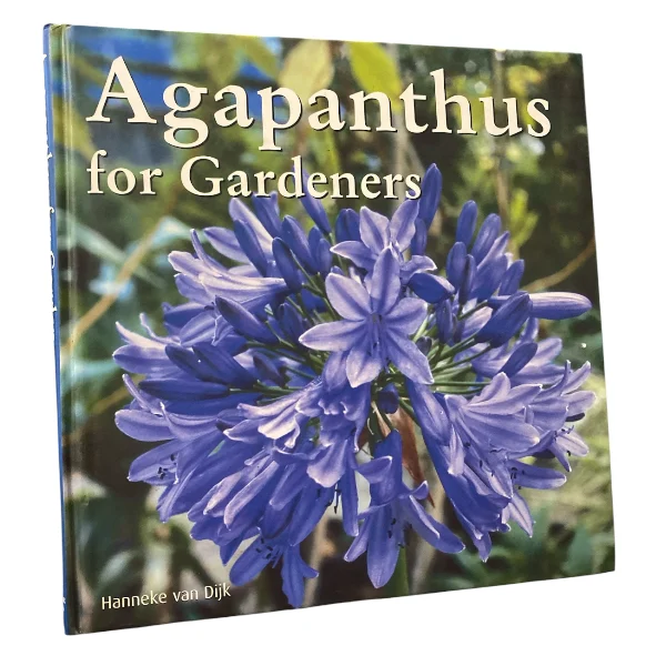 Agapanthus for Gardeners