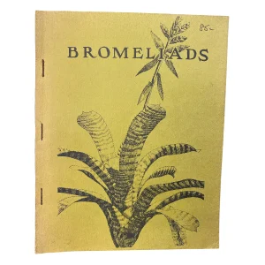 Bromeliads