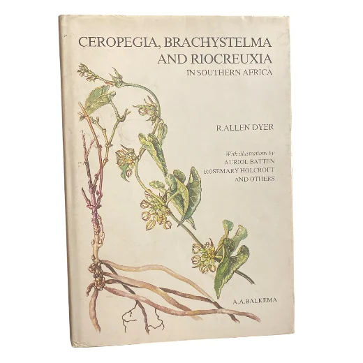 Ceropegia, Brachystelma and Riocreuxia