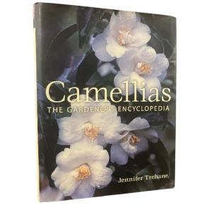 Camellias