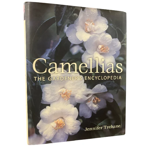 Camellias