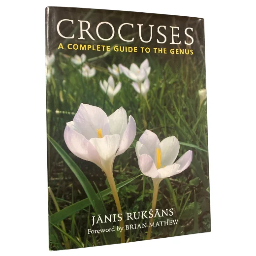 Crocuses