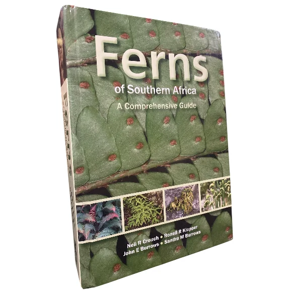 Ferns Of Southern Africa