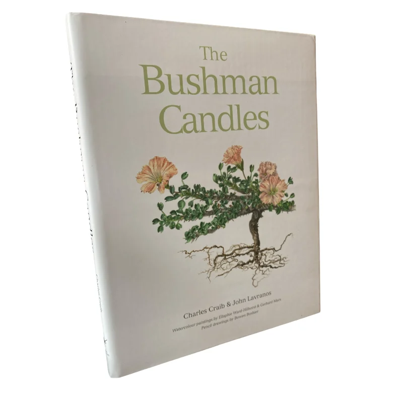 The Bushman Candles