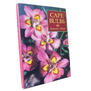 Cape Bulbs