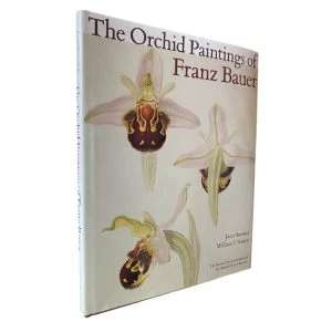 The Orchid Paintings Of Franz Bauer
