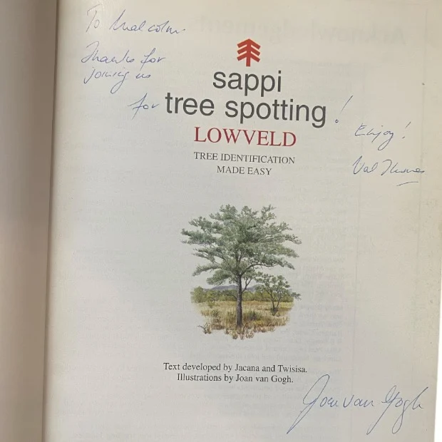 Sappi Tree